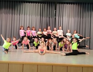 Die Dancing Stars.